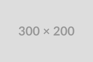 Image Alignment 300x200